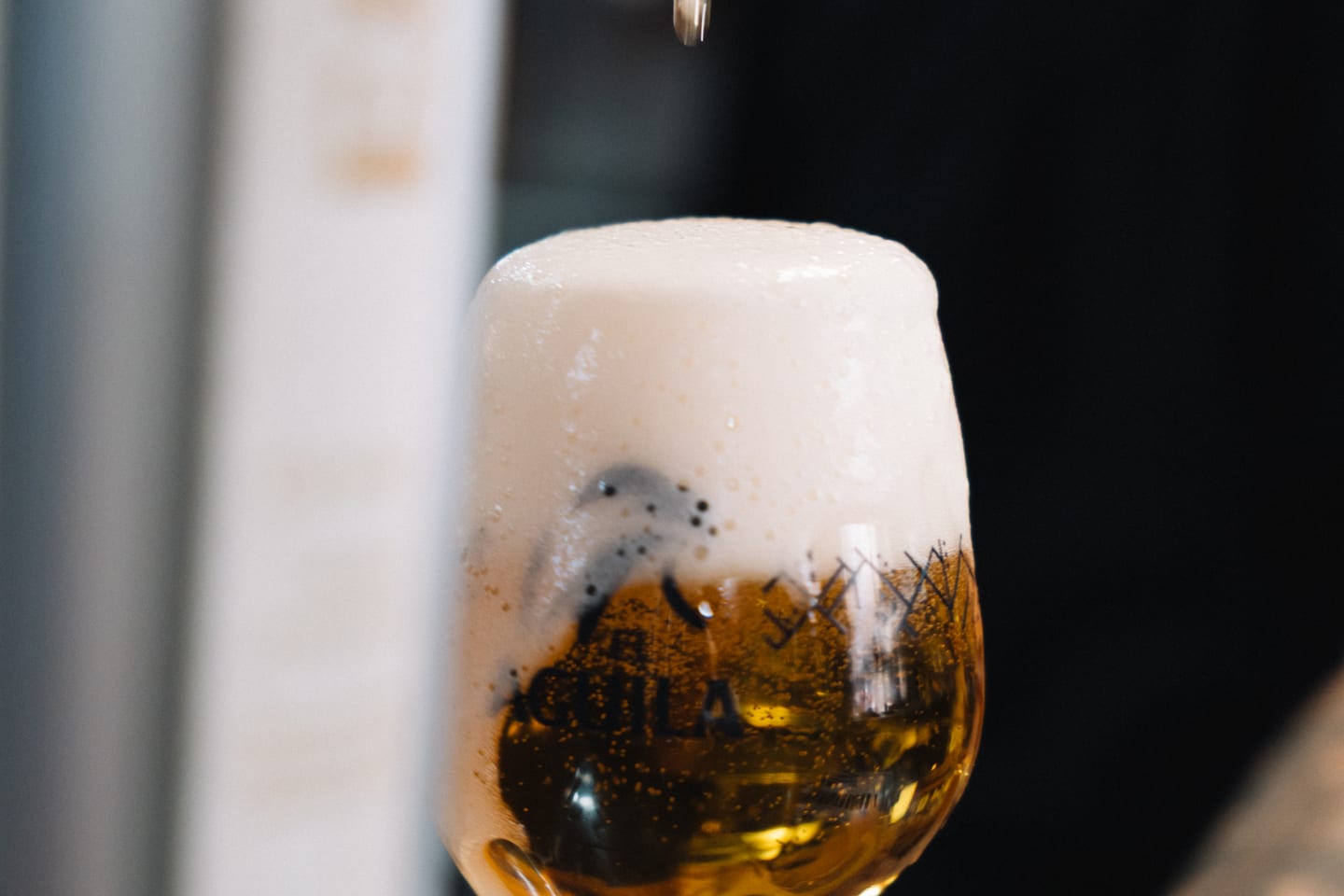 Cerveza servida en Casa Ibarra